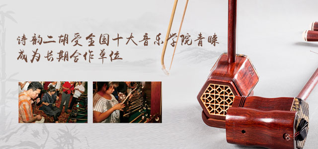诗韵二胡受全国十大音乐学院青睐
